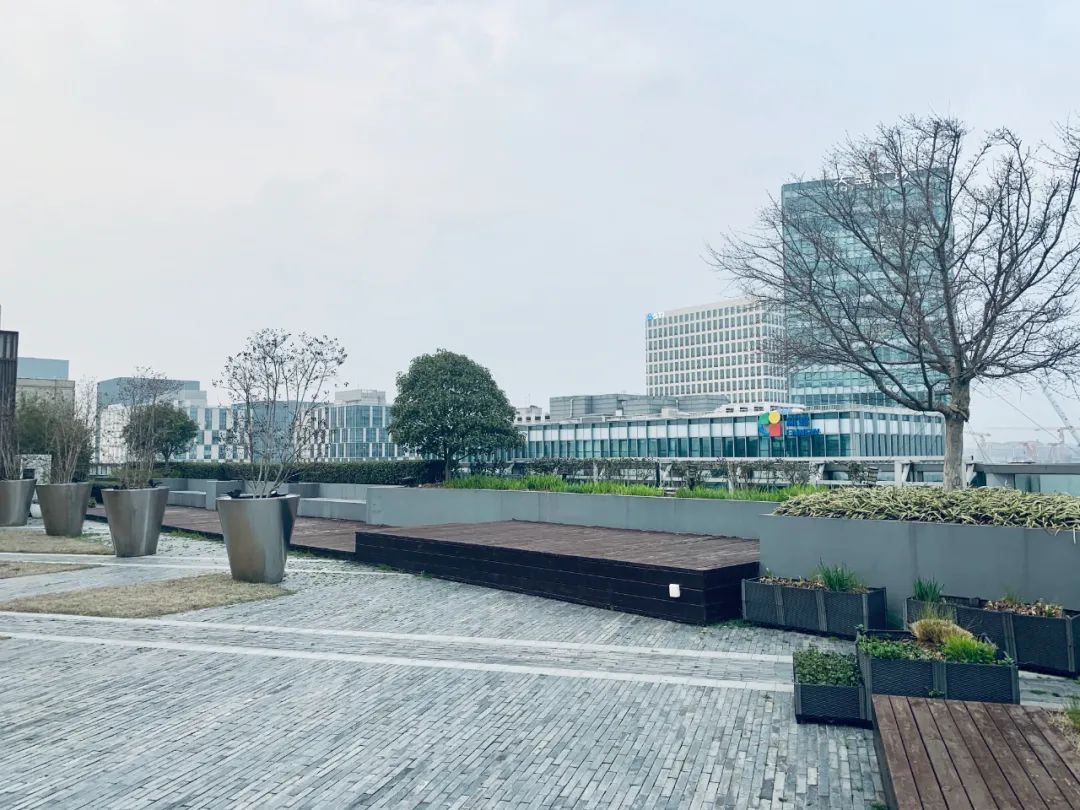 實習內外 · AECOM｜探訪上?；▓@文化實踐，從屋頂花園更新到社區花園節9.jpg