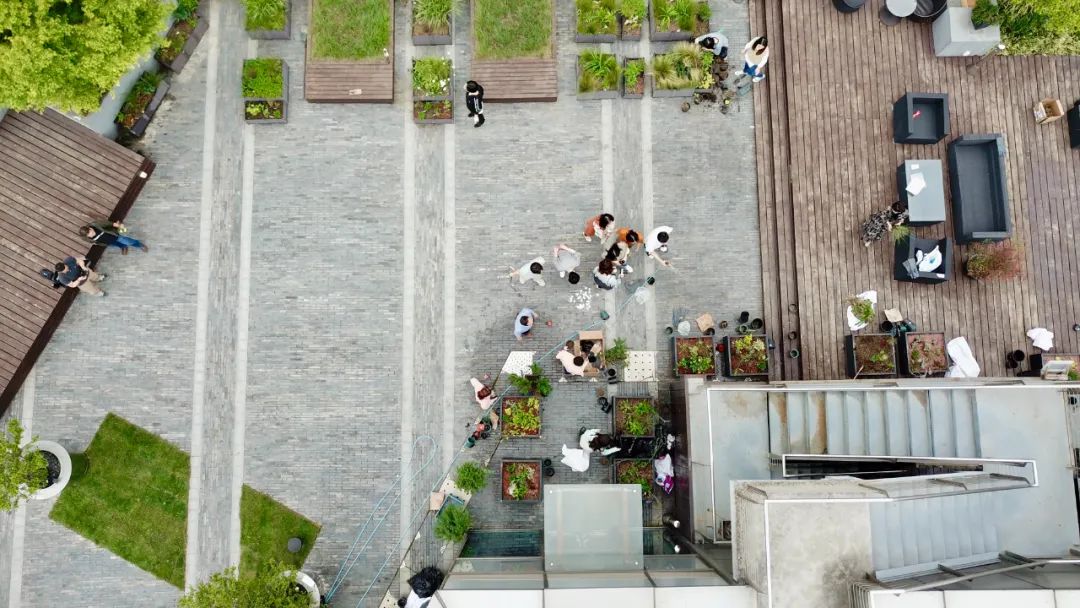 實習內外 · AECOM｜探訪上?；▓@文化實踐，從屋頂花園更新到社區花園節10.jpg