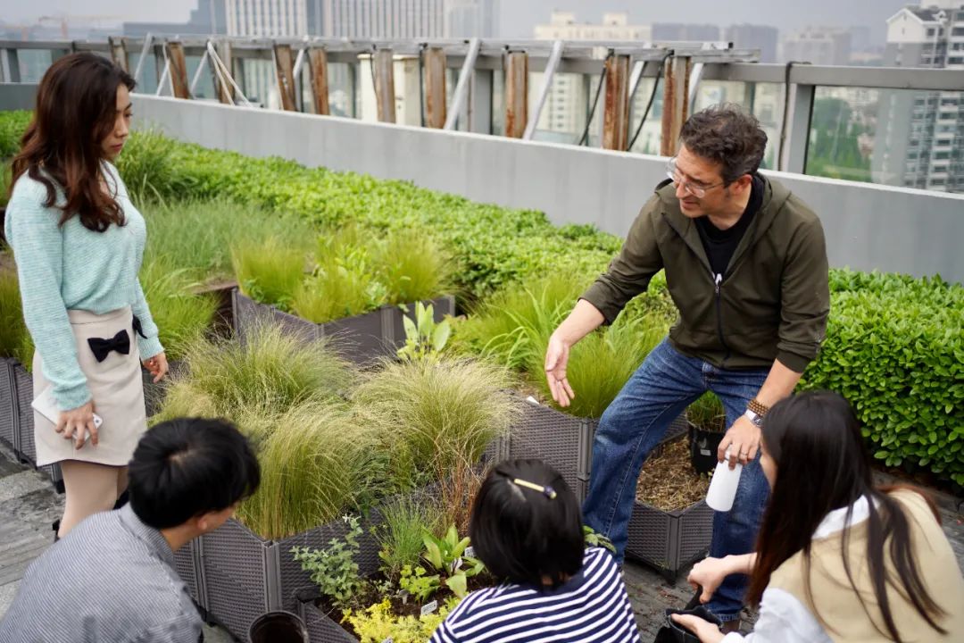 實習內外 · AECOM｜探訪上?；▓@文化實踐，從屋頂花園更新到社區花園節11.jpg