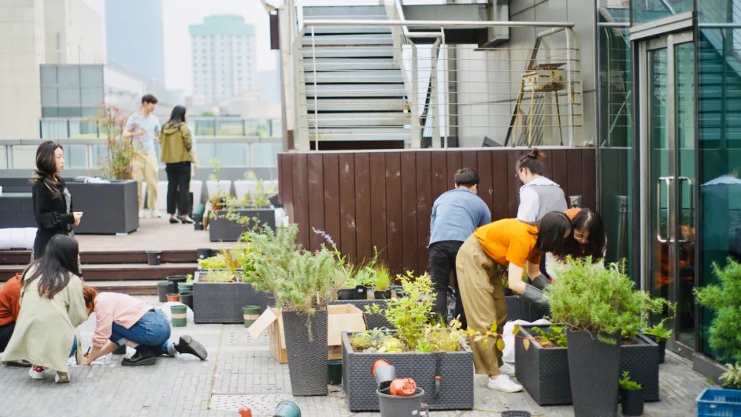 實習內外 · AECOM｜探訪上?；▓@文化實踐，從屋頂花園更新到社區花園節12.jpg