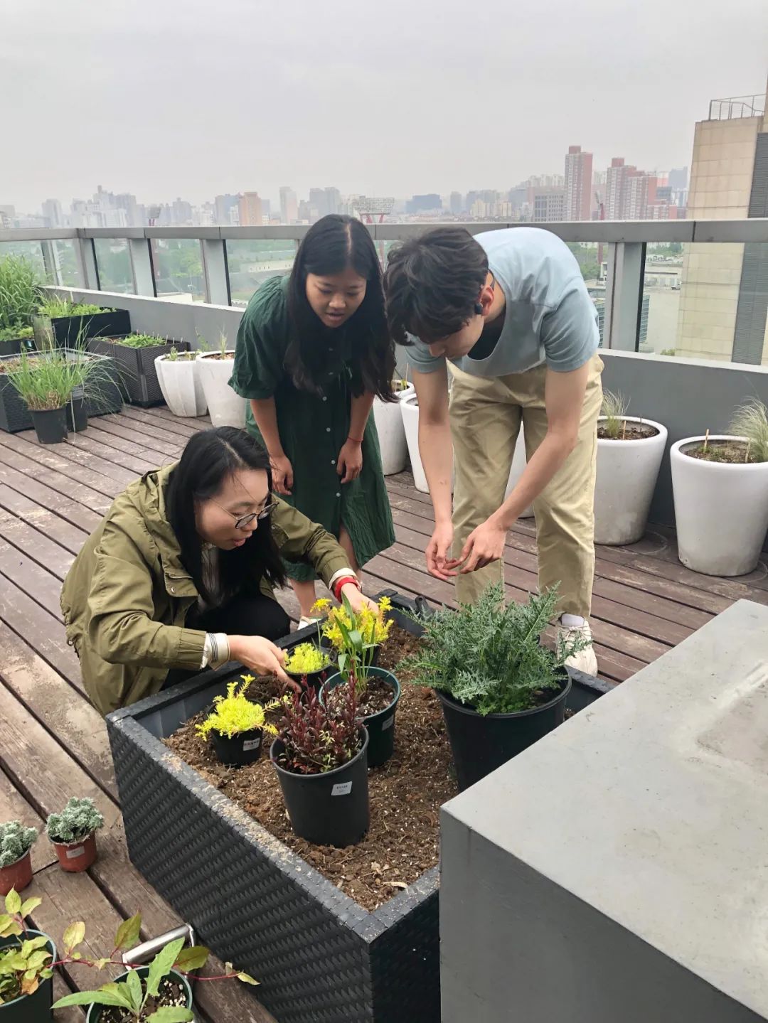 實習內外 · AECOM｜探訪上海花園文化實踐，從屋頂花園更新到社區花園節14.jpg