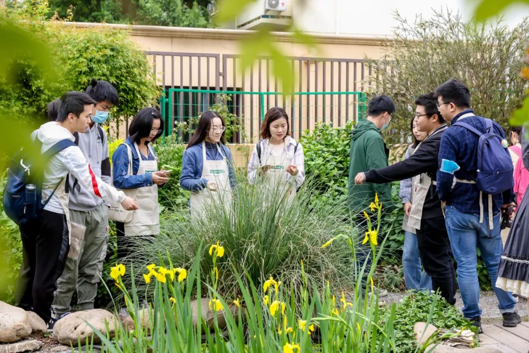 實習內外 · AECOM｜探訪上?；▓@文化實踐，從屋頂花園更新到社區花園節21.jpg