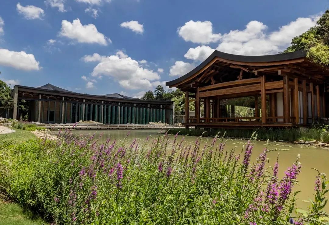 直播｜王澍親自揭秘杭州國家版本館16.jpg