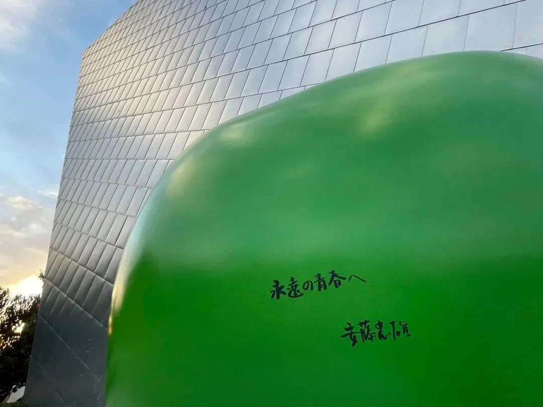 拋去流量，安藤的“青春”，是一種心境27.jpg