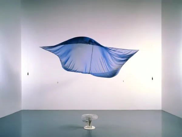 DS+R的創始人伊麗莎白·迪勒：從藝術家的“膽”到建筑師的“敢”14.jpg