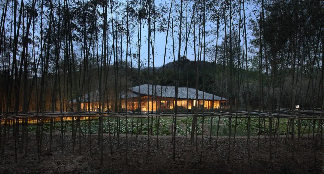 AIA International Design Awards獲獎項目全解析｜根植于本土的建造17.jpg