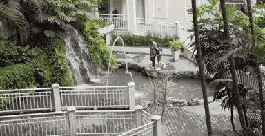6403.gif