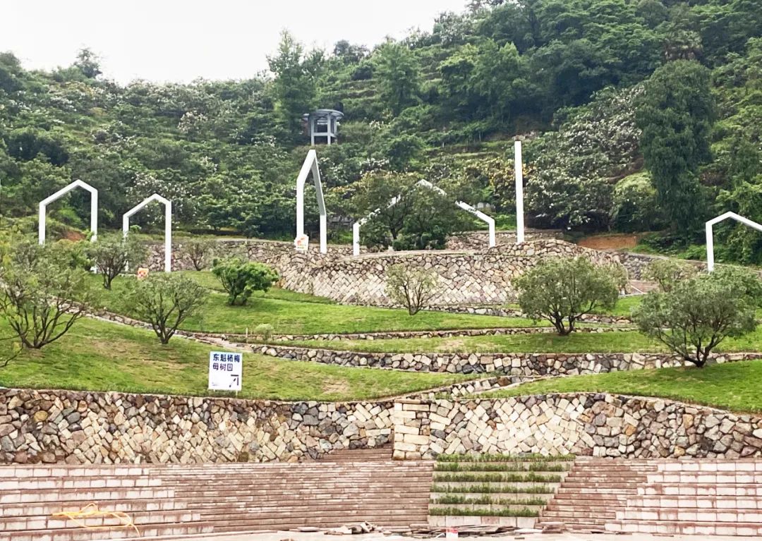 10020.jpg