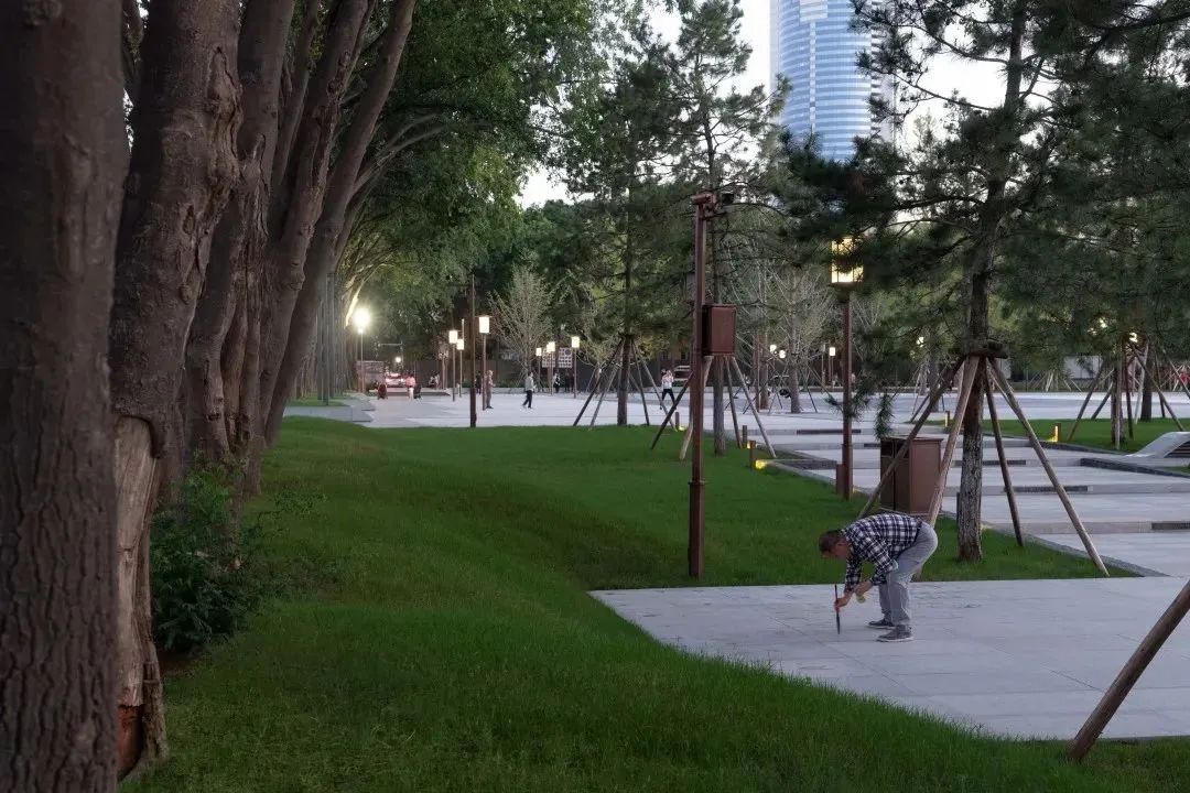 10041.jpg