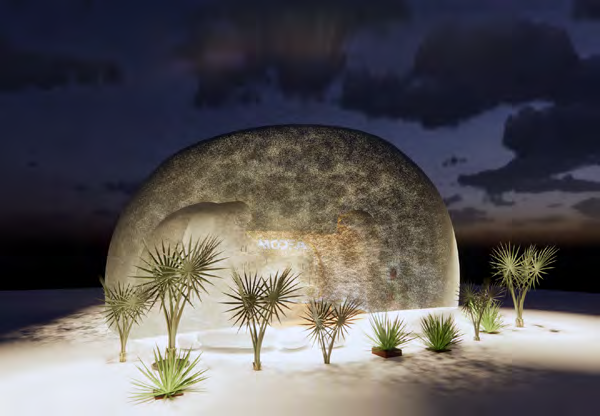 1705561074455718du12.png 10010.png