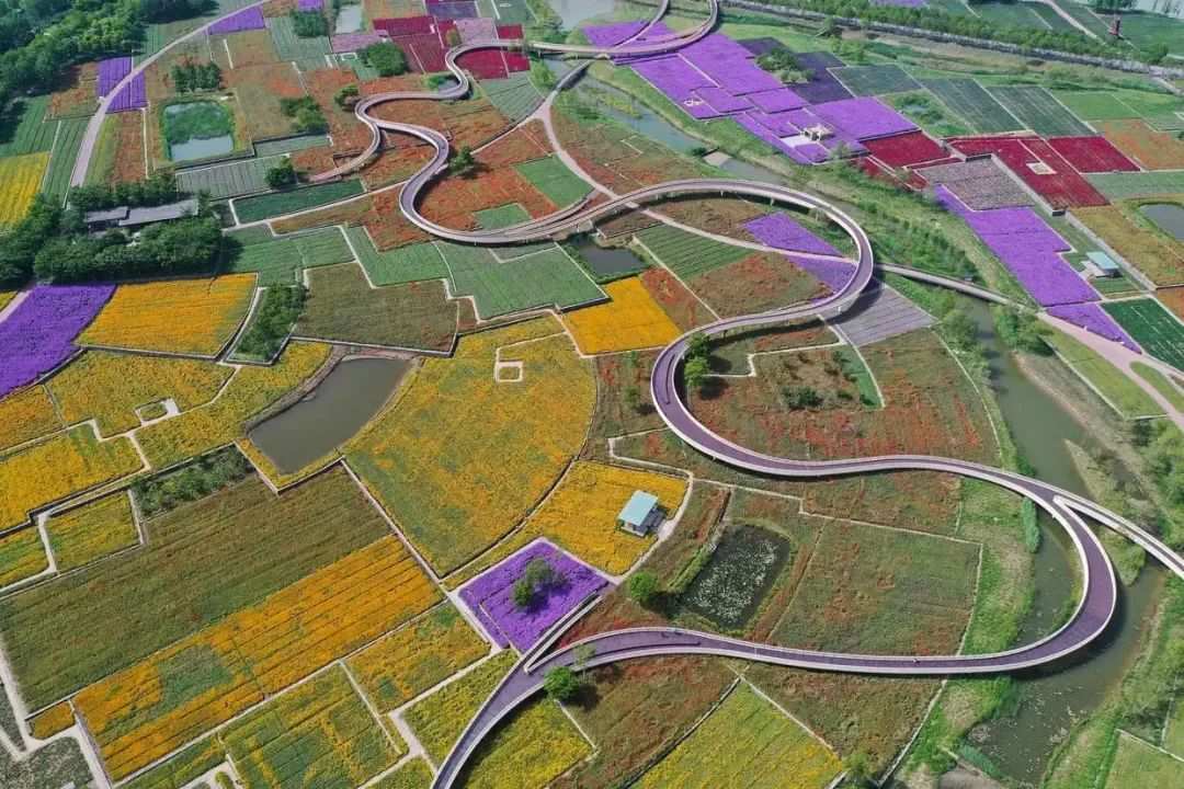 1743668055656182uwd2.jpg 1743667634968.jpg