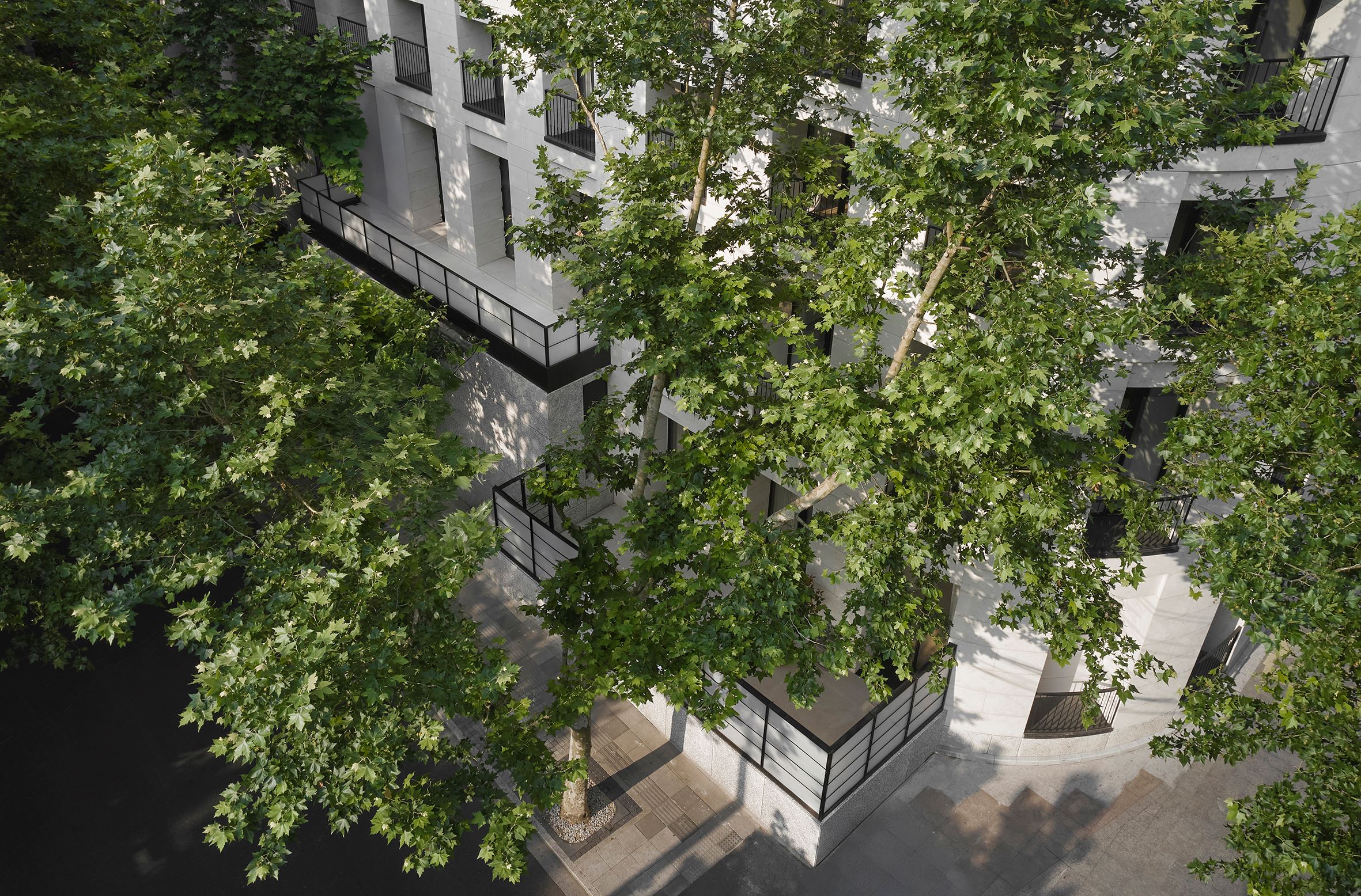 W.DESIGN無間設計_藏家公館 Collector's Mansion_02.jpg